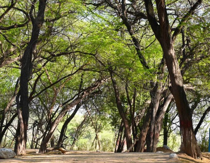 Lake Reserved Forest